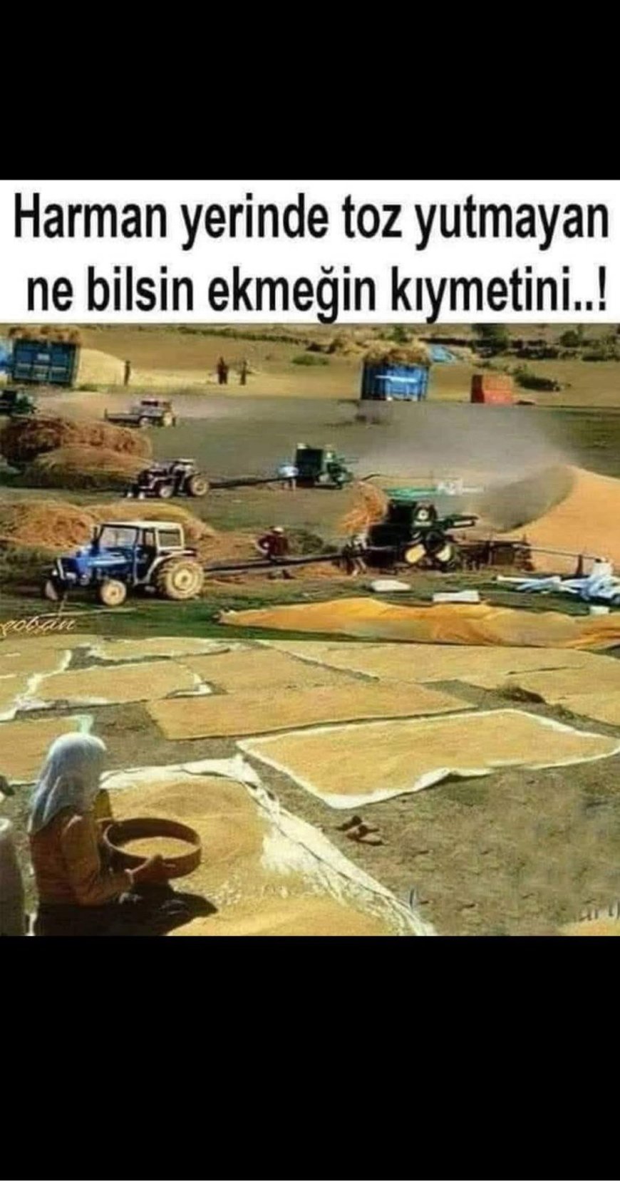 Bozkırın Ritüeli: Patozun Tozu, Emekçinin Ağız Tadı