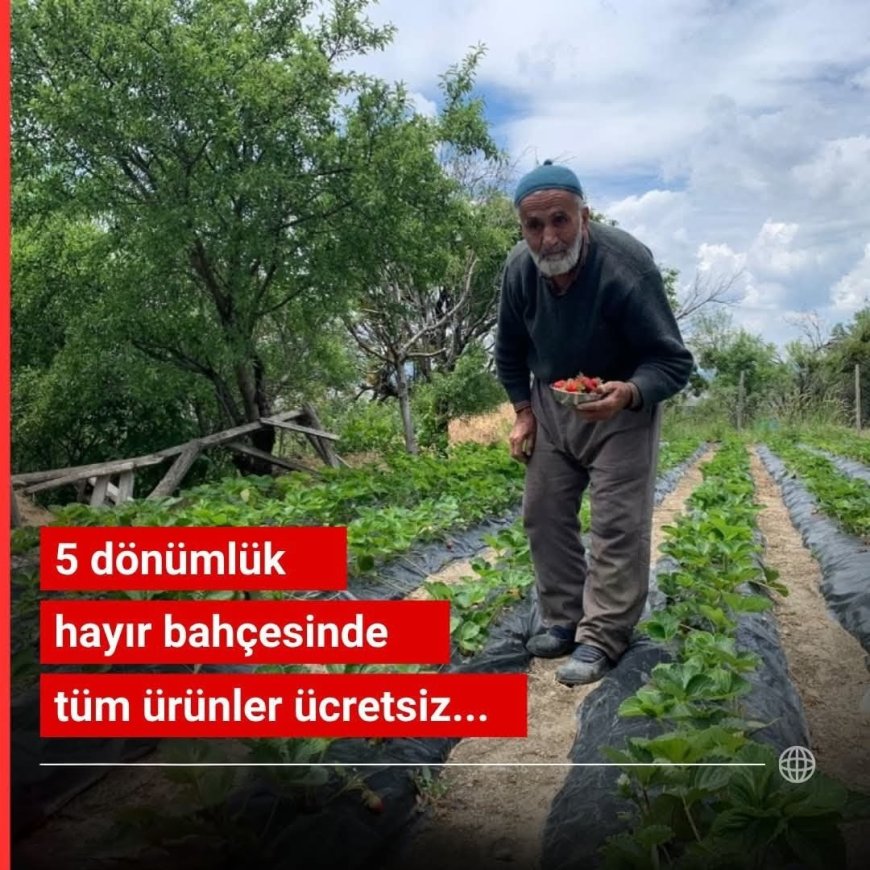 CENNET GİBİ BİR BAHÇE: ÜRÜNLER BEDAVA, MİSAFİRLİK SONSUZ