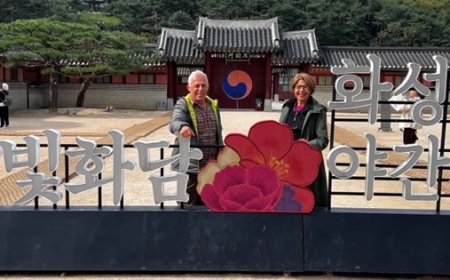Bir Ülke, İki Zaman: Güney Kore / Seul/Suwon-3. Gün