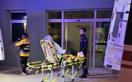 Trabzon, Kastamonu ve Zonguldak’ta toplu zehirlenme vakaları