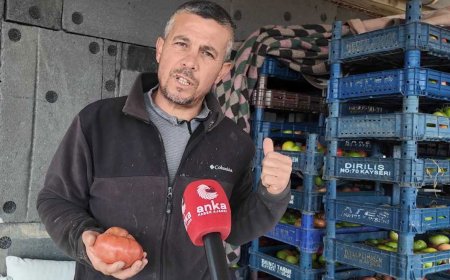 Ata tohumunu yaşatmak için yola çıktı: 10 ilde ücretsiz dağıtım