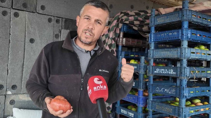 Ata tohumunu yaşatmak için yola çıktı: 10 ilde ücretsiz dağıtım
