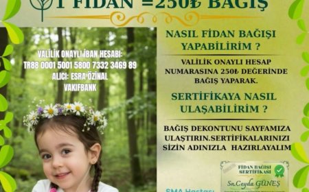 SMA hastası Zeynep bebek için valilik izinli kampanya sürüyor