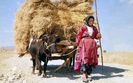 Hak Ve Hukuk Tavizleri Üzerine Toplumsal Hafıza Analizi