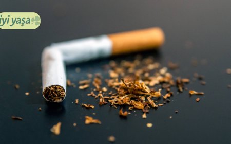 Nikotin vücutta ne kadar kalır?
