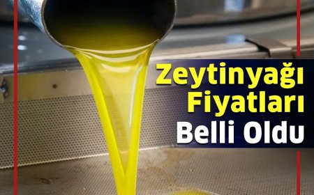 TARİŞ, 2025-2026 zeytinyağı alım fiyatlarını açıkladı