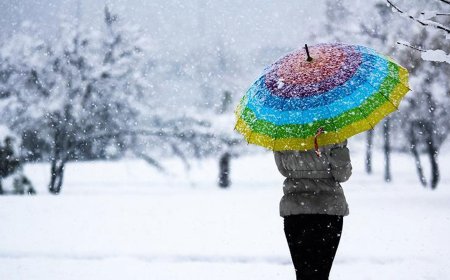 Üç uzmandan art arda kar müjdesi: Yılbaşında lapa lapa yağacak