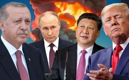 Türkiye'nin küresel sesi: Wise News Press dijital diplomaside eşik atladı