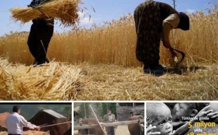 Türkiye’de gıda israfı günde 5 milyon ürüne ulaşıyor