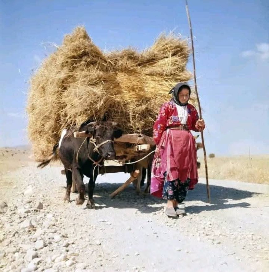 Hak Ve Hukuk Tavizleri Üzerine Toplumsal Hafıza Analizi