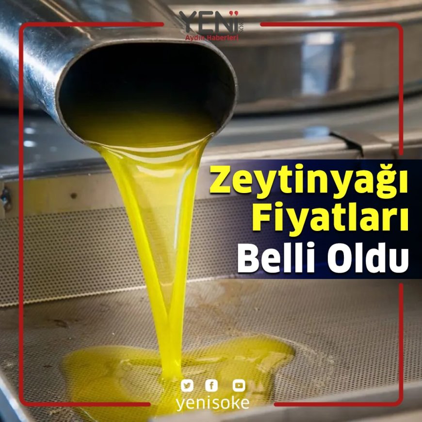 TARİŞ, 2025-2026 zeytinyağı alım fiyatlarını açıkladı