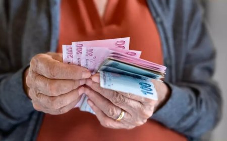 Prof. Dr. Çelik kişi başına düşen milli gelirin yüzde 56’sı üzerinden hesapladı: En düşük emekli aylığı 42 bin olmalı