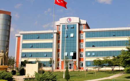 Üniversitede sahte diploma skandalı: Hademeydi, koordinatör oldu
