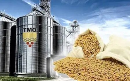 TMO depolarında skandal! Milyonlarca liralık hububat vurgunu…