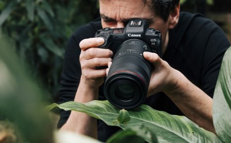 Makro fotoğrafçılık detaylardan güçlü hikâyeler üretiyor