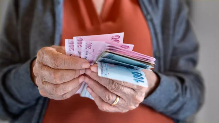 Prof. Dr. Çelik kişi başına düşen milli gelirin yüzde 56’sı üzerinden hesapladı: En düşük emekli aylığı 42 bin olmalı
