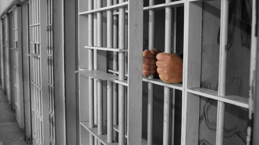 Cezaevinden çıkanların yarısı yeniden suç işliyor: İnfaz sisteminde rehabilitasyon merkezli değişim