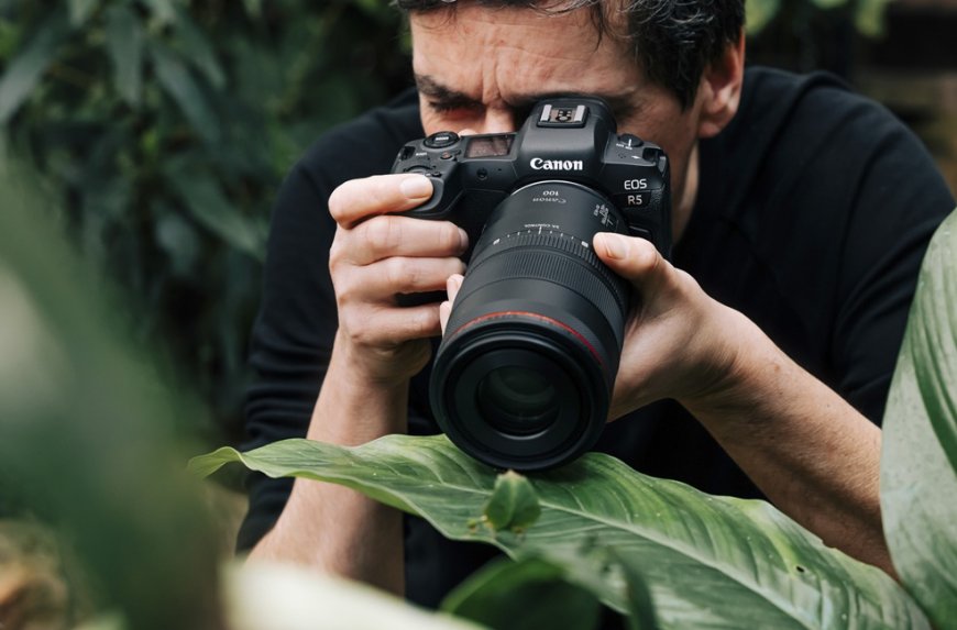 Makro fotoğrafçılık detaylardan güçlü hikâyeler üretiyor
