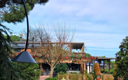 Sevgililer Günü’nde Laurel İstanbul’da aşk ve gastronomi