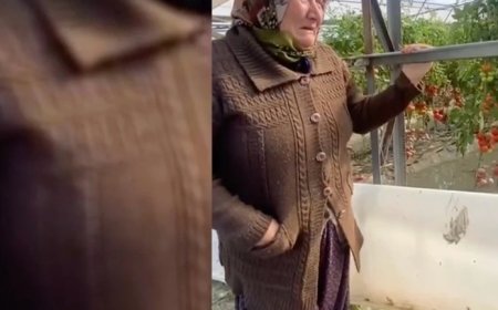 Ağlayarak dert yandı: 80 ton mal var, heba oldu, bittik