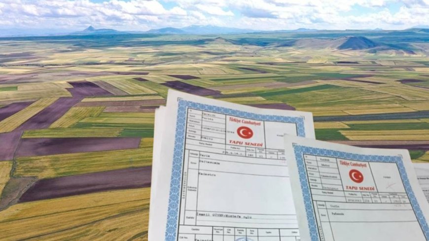 Yargıtay’dan ön alım hakkına dürüstlük vurgusu