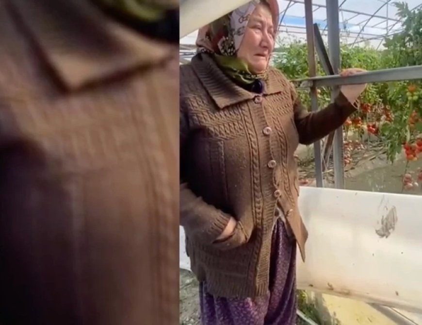 Ağlayarak dert yandı: 80 ton mal var, heba oldu, bittik
