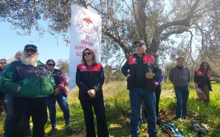 Edremit’te çiftçilere uygulamalı zeytin budama eğitimi