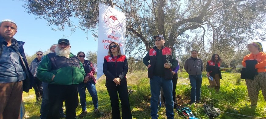 Edremit’te çiftçilere uygulamalı zeytin budama eğitimi