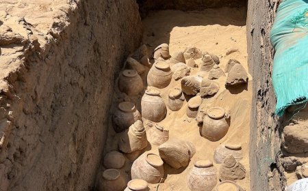 Kraliçe Meret-Neith’in Mezarında 5.000 Yıllık Şarap Keşfedildi