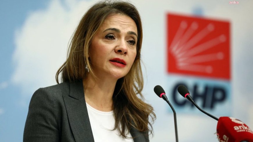 CHP'li İlgezdi: Cezaevlerinde insan onuruna yakışmayan bir tabloyla karşı karşıyayız