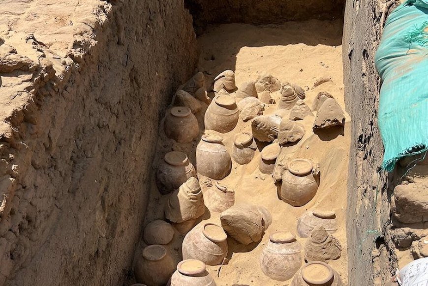 Kraliçe Meret-Neith’in Mezarında 5.000 Yıllık Şarap Keşfedildi