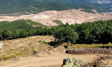 Kaz Dağları’nda doğa için nöbet de tehlike de sürüyor