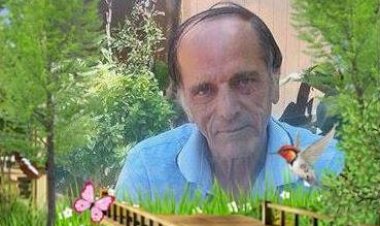 TEK TESELLİM ,HAYALLERİN