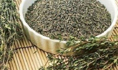 KEKİK NEDİR ❓ DÜNYA BUNU NEDEN GİZLİYOR ⁉️