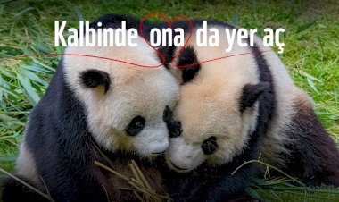 Kalbinizde Onlara da Yer Açın