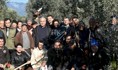 Zeytin budama kursu