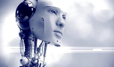 Seks robotları 'psikolojik hasara yol açabilir'