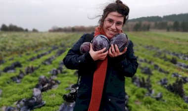 Çiftçiden uyarı: "Otu, böceği öldüren, insanı da öldürüyor."