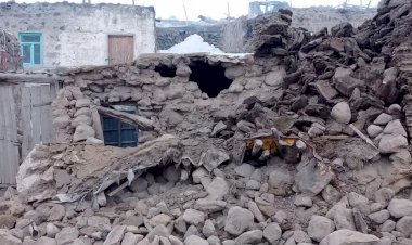 İran'daki Deprem Van'da Can Kayıplarına Neden Oldu