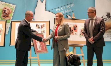 HAYAT KURTARAN KÖPEKLER PTT PULLARINDA