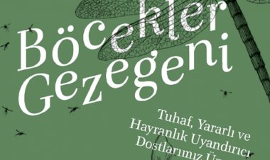 BÖCEKLER GEZEGENİ: