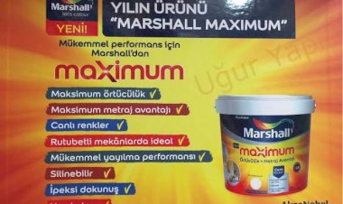 Marshall’dan çocuklara renk önerileri