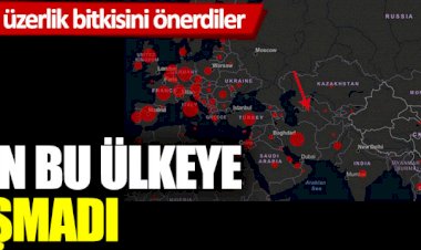 Türkmenistan’da şu ana kadar korona virüs görülmedi… İşin sırrı üzerlik bitkisi mi?