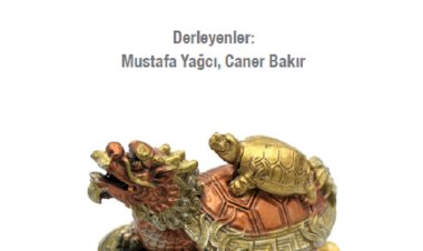 ÇİN BİLMECESİ: