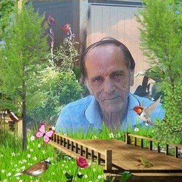 TEK TESELLİM ,HAYALLERİN