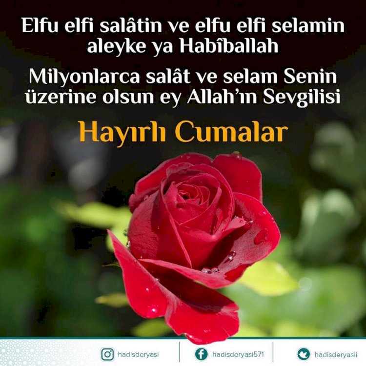 GÜNÜN HİKAYESİ