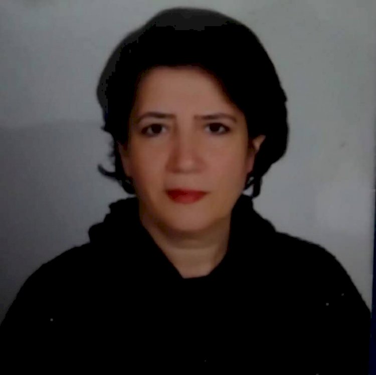 ALLAHUEKBER DAĞLARINA SİTEM