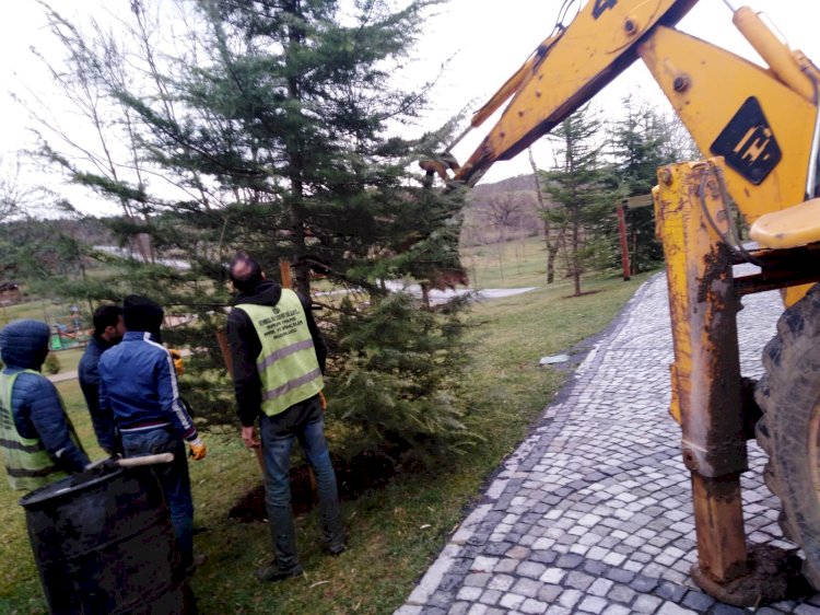 KEMERBURGAZ’DA FIRTINANIN YARALARI SARILIYOR
