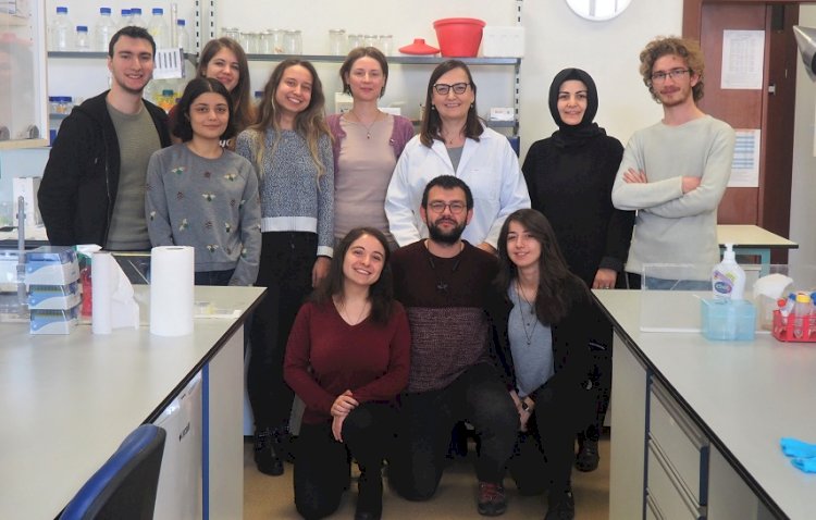 Zihinsel hastalıkların genetik mekanizması araştırılıyor
