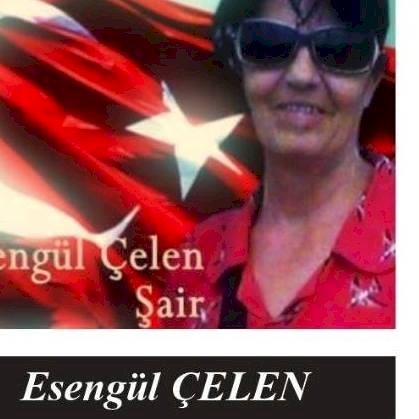 DOLU DİZGİN